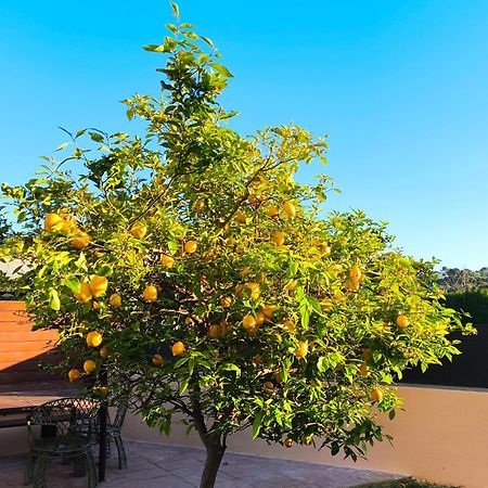 Adosado Con Jardin En Los Xalets De Salou Exteriér fotografie
