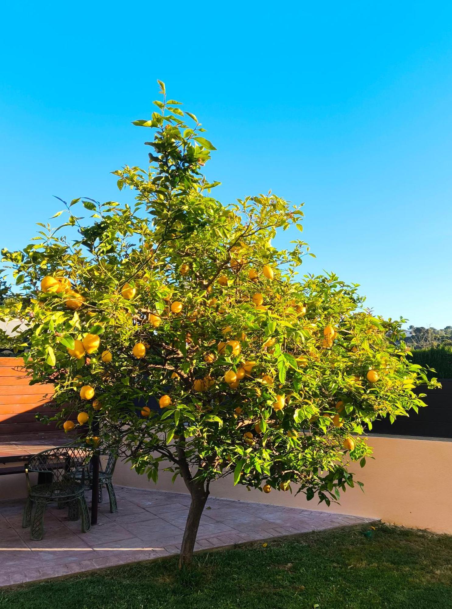 Adosado Con Jardin En Los Xalets De Salou Exteriér fotografie